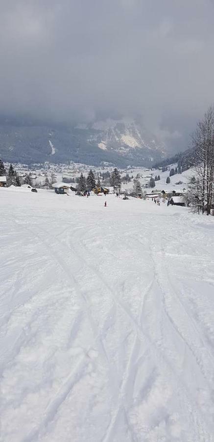 Dachstein View Ski Apartment غوساو المظهر الخارجي الصورة