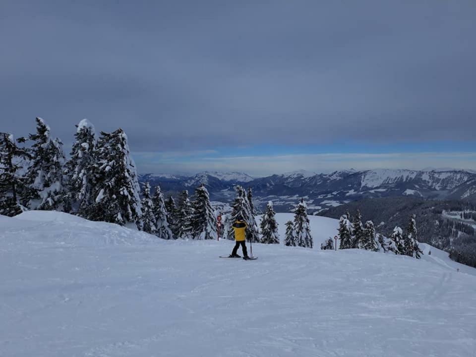 Dachstein View Ski Apartment غوساو المظهر الخارجي الصورة