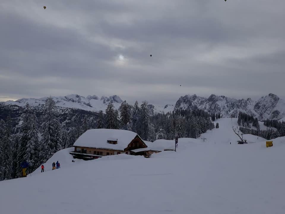 Dachstein View Ski Apartment غوساو المظهر الخارجي الصورة