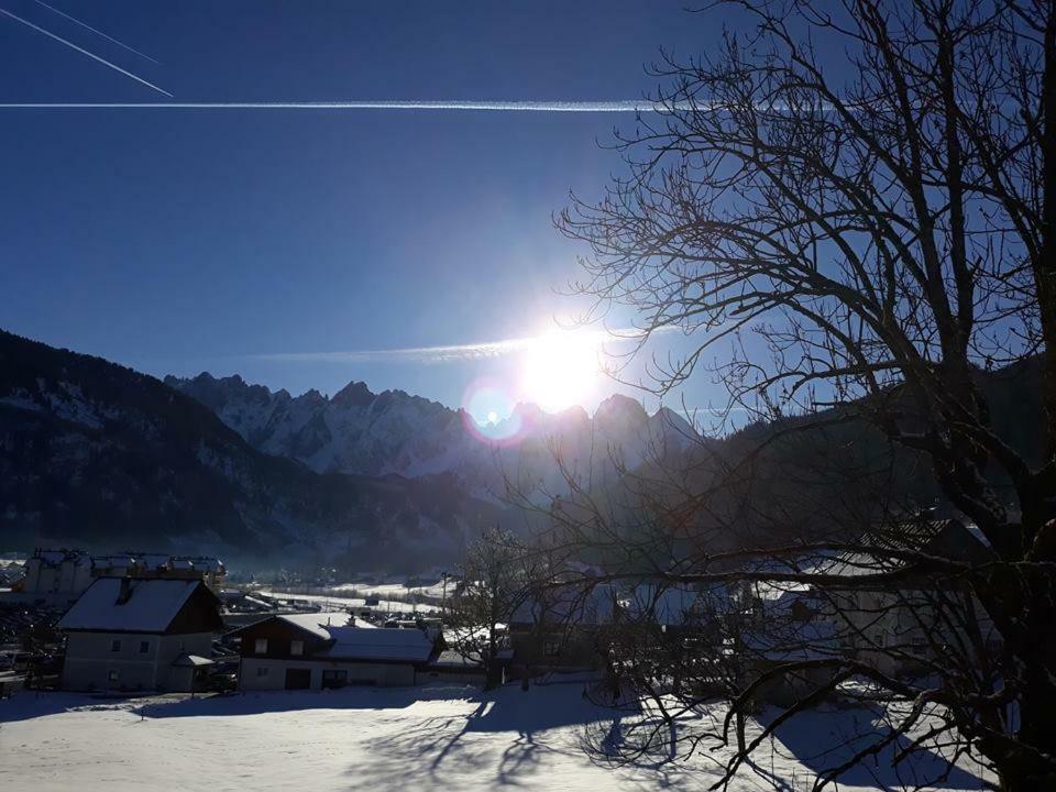 Dachstein View Ski Apartment غوساو المظهر الخارجي الصورة